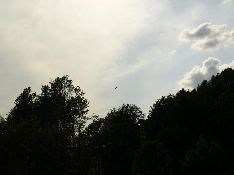 AUS05062009 (97).JPG